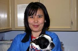 Dog Grooming School Houston Tx Dog Grooming School Houston Tx